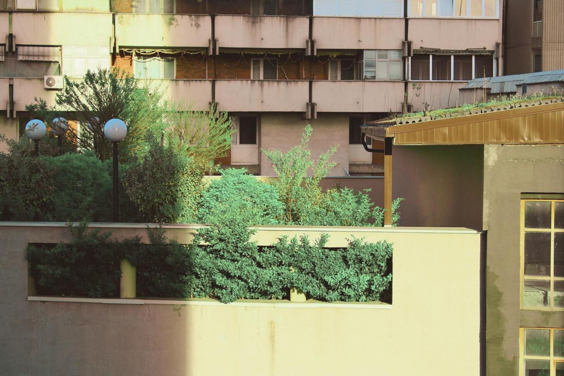 Sunny Center Apartment Skopje Zewnętrze zdjęcie